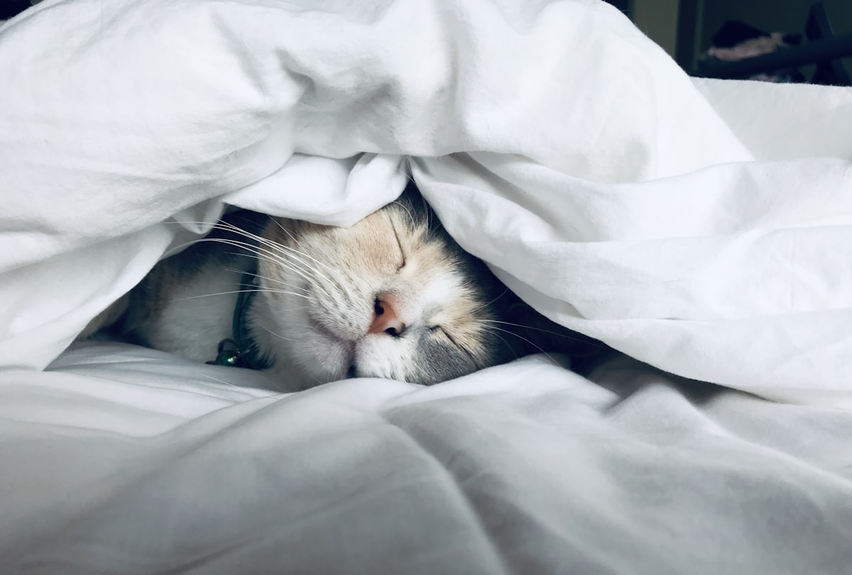 Glycine amino acid for sleep