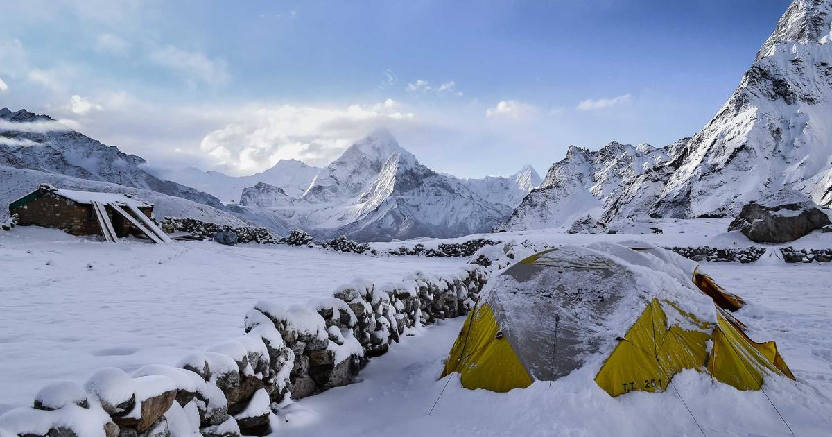 Ashwagandha root and supplement