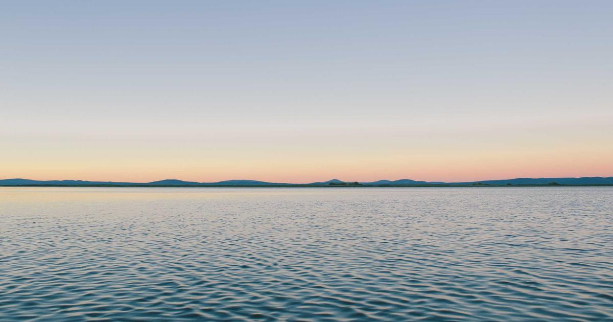 BCAAs and EAAs amino acid supplements comparison