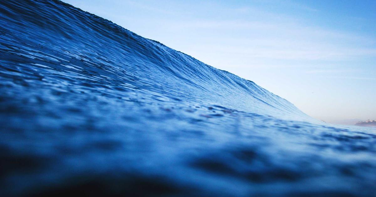 Comparison of berberine supplement and Ozempic medication