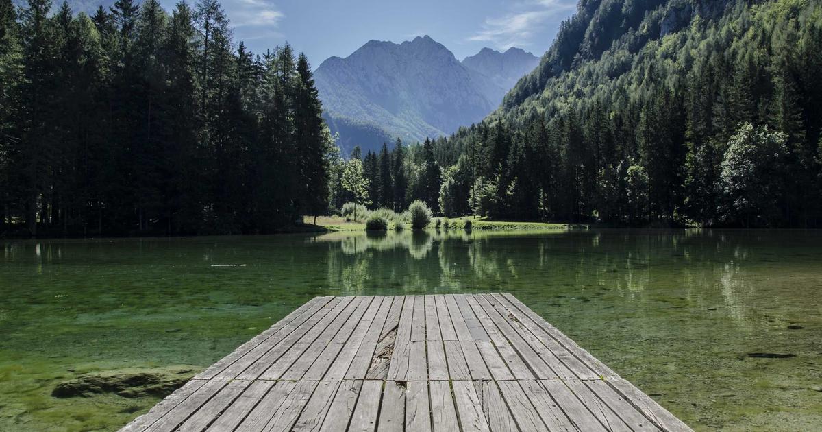 BPC-157 peptide vial in laboratory setting