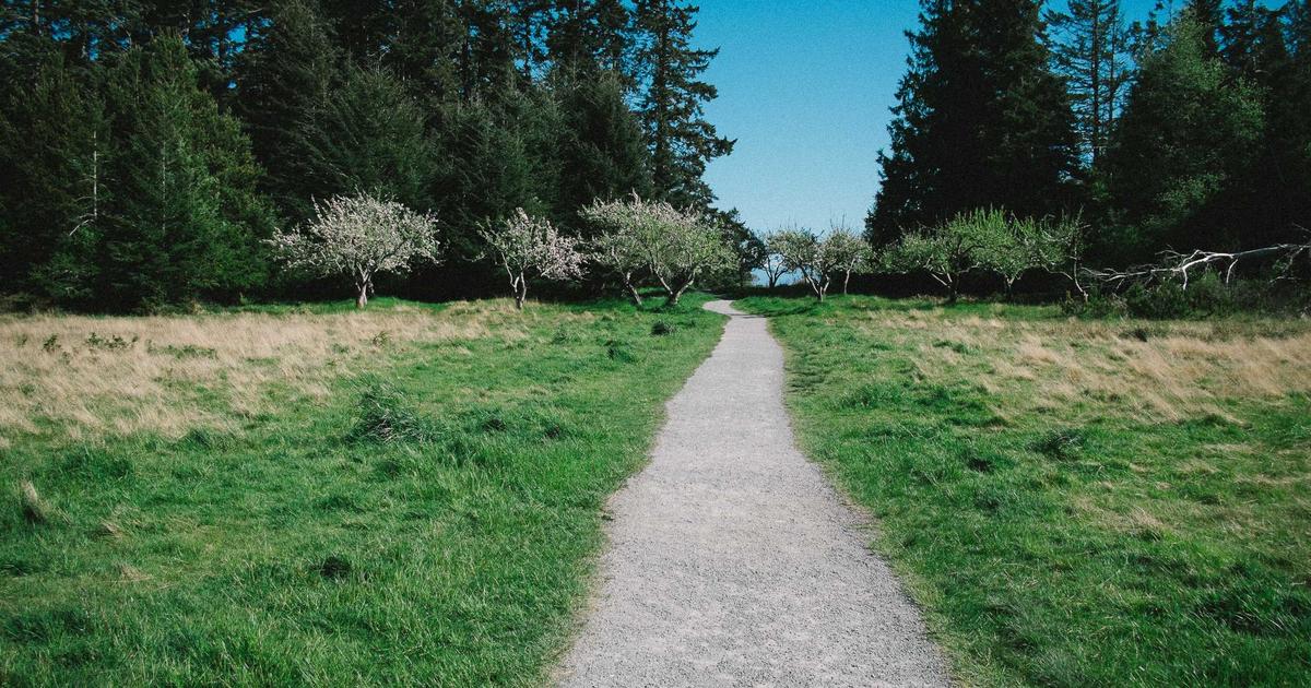 BPC-157 research for tendonitis healing