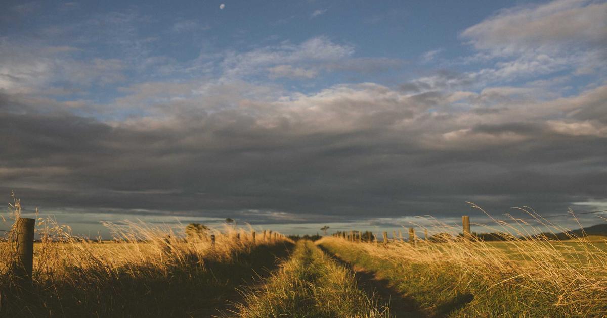 GABA supplement and neuroscience