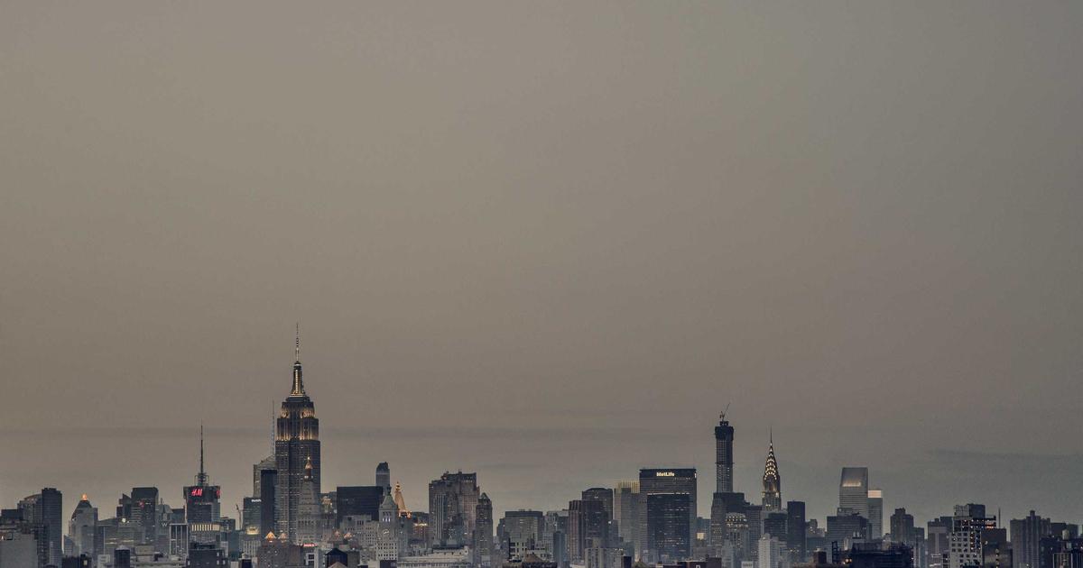 Comparison of L-Theanine and Ashwagandha supplements