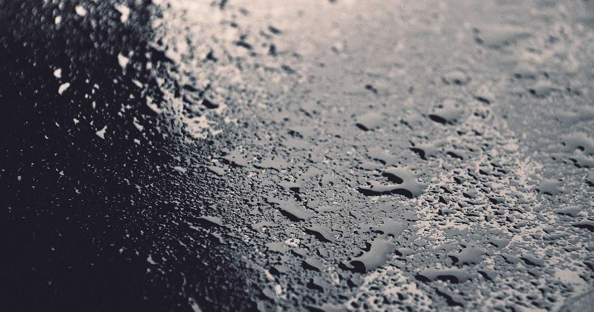 Lion's Mane mushroom supplement