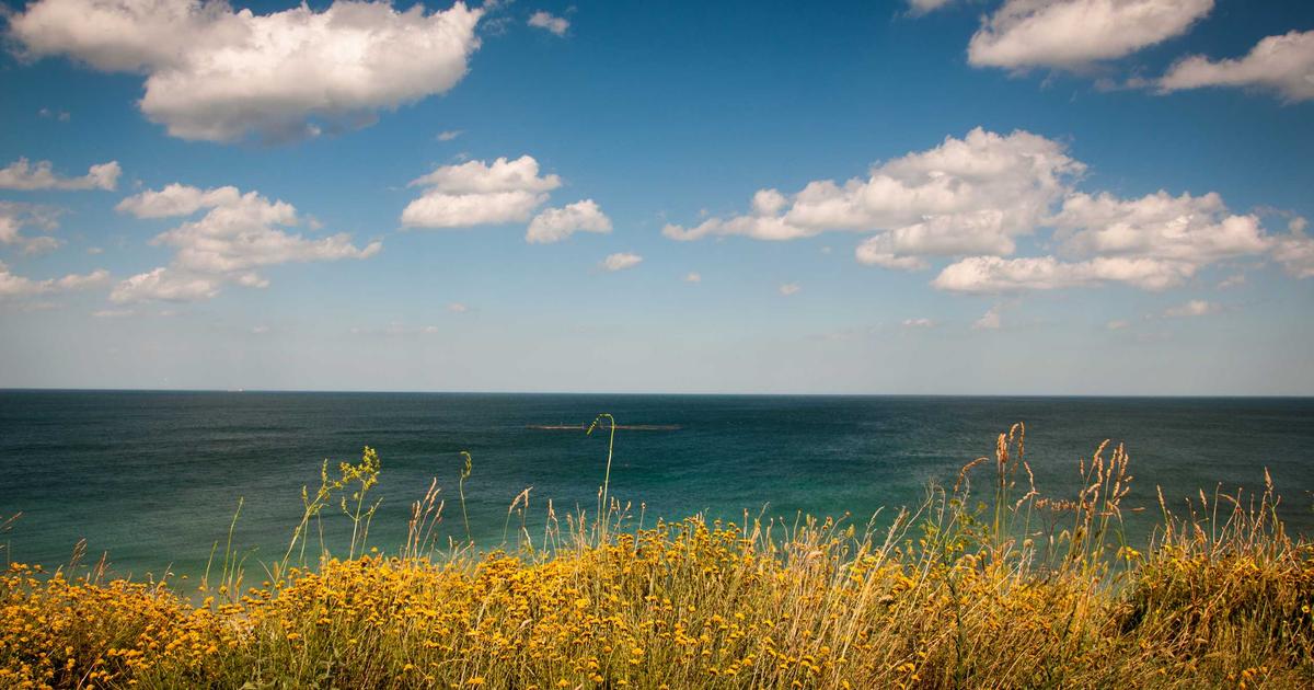 Understanding facial changes with weight loss