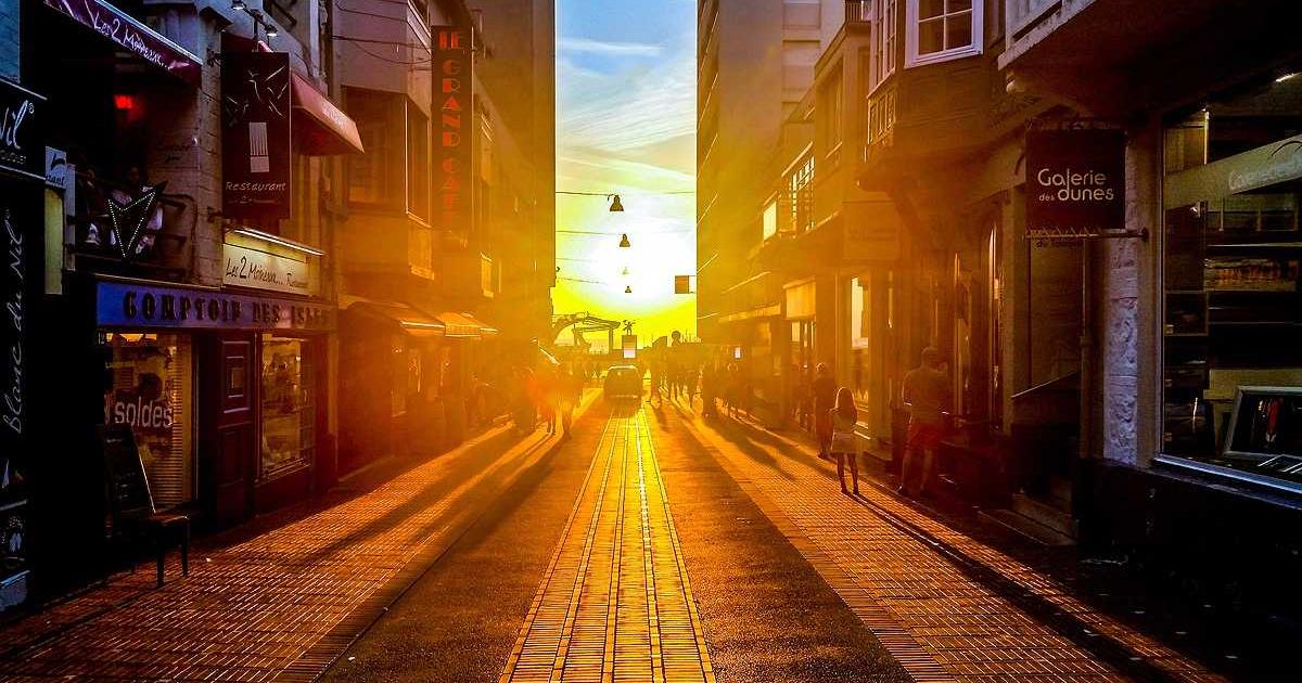 Rhodiola rosea and Ashwagandha adaptogen comparison