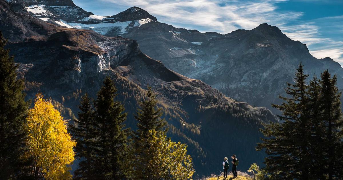 Insulin syringe with dosage markings